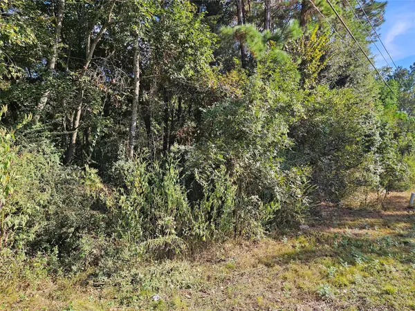 Magnolia, TX 77354,0 Hardin Store Rd