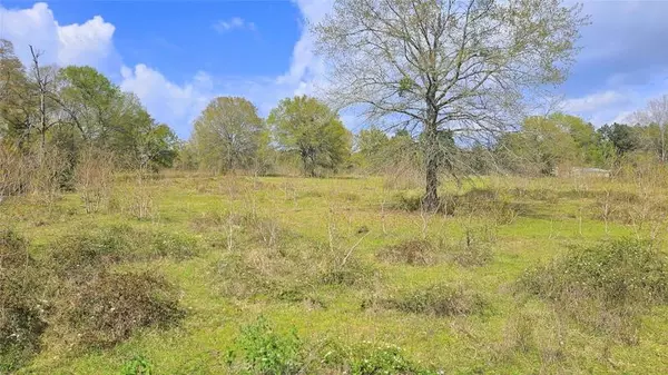 Crockett, TX 75835,TBD County Road 1035