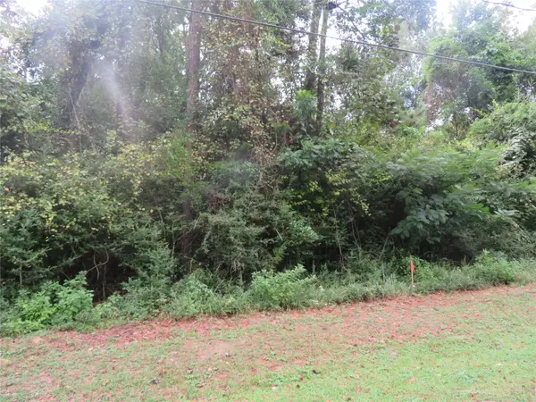 Village Mills, TX 77663,LOT 9 Hornbeam DR