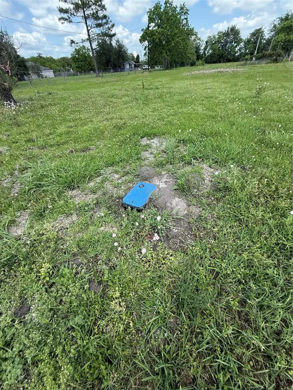 Beaumont, TX 77713,1955 Turner RD