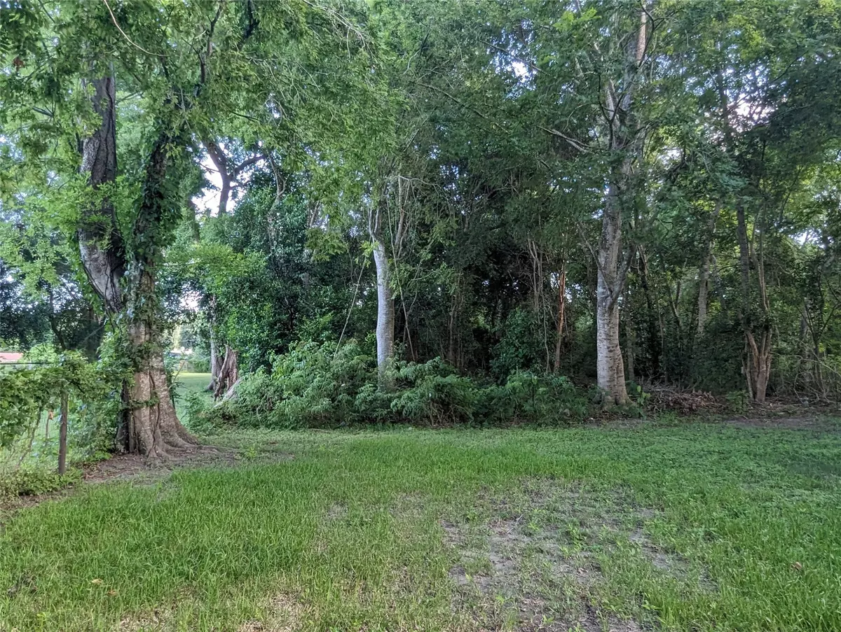 Liberty, TX 77575,TBD Beaumont AVE