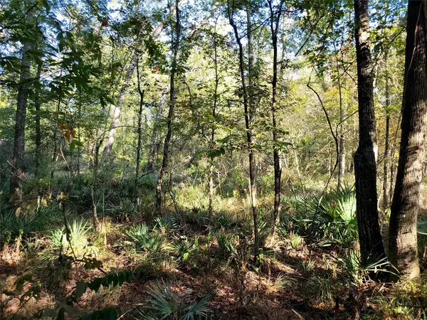 Splendora, TX 77381,0 Creekwood