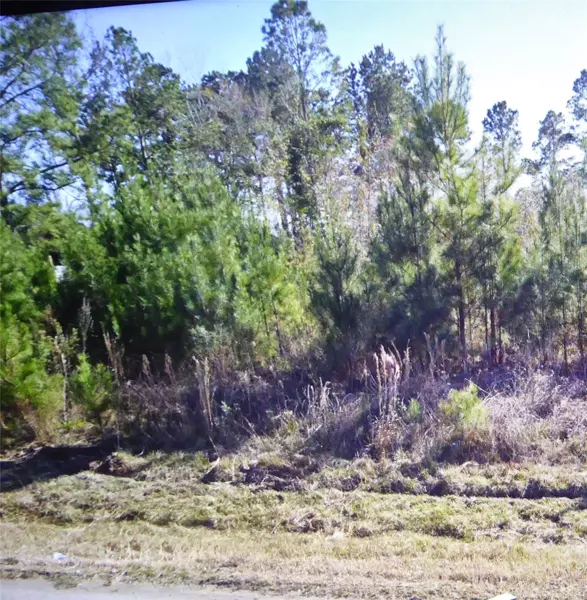 50 County Road 3479A, Cleveland, TX 77327
