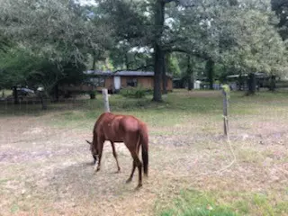 New Caney, TX 77357,20905 Stevens ST