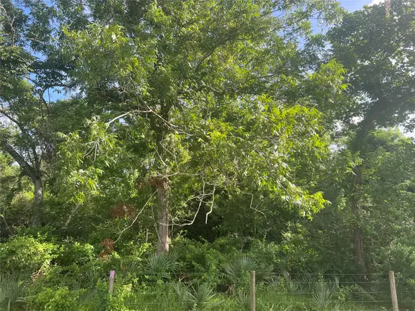 Brazoria, TX 77422,0 CR 353