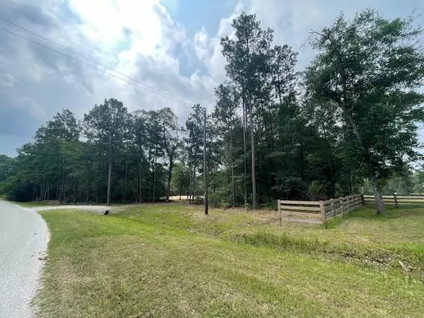 Hockley, TX 77447,28171 Joseph RD