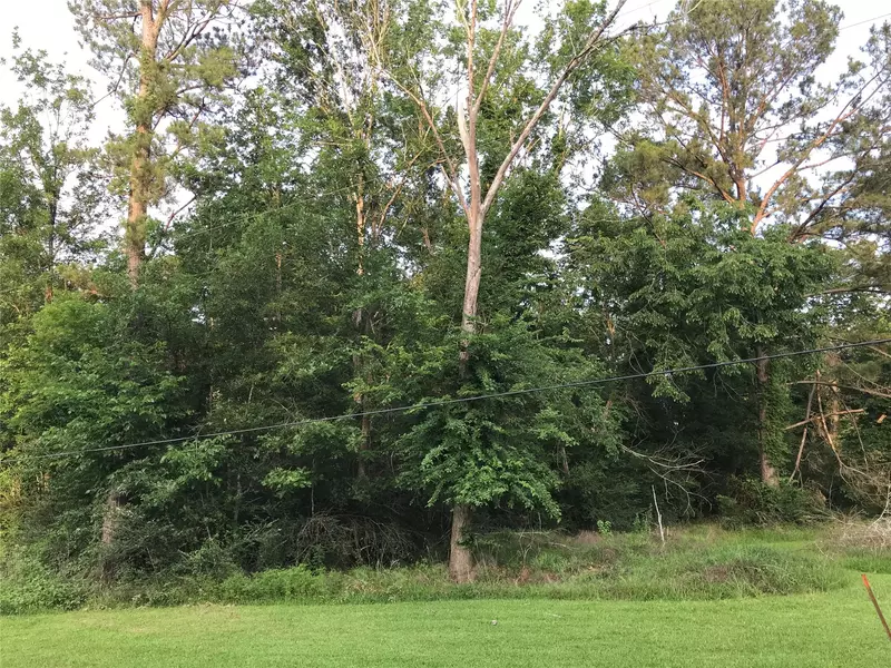 150 Lakeside CT, Goodrich, TX 77335