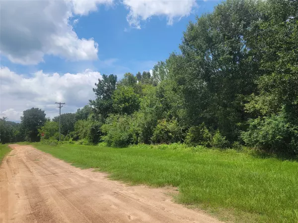 Shepherd, TX 77371,00 Farm Pasture RD
