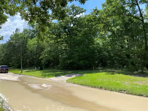 Livingston, TX 77351,TBD Windwood Drive DR