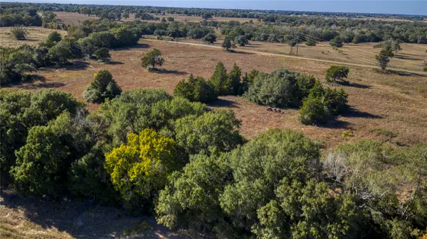 Brenham, TX 77833,TBD-5 Greenvine RD