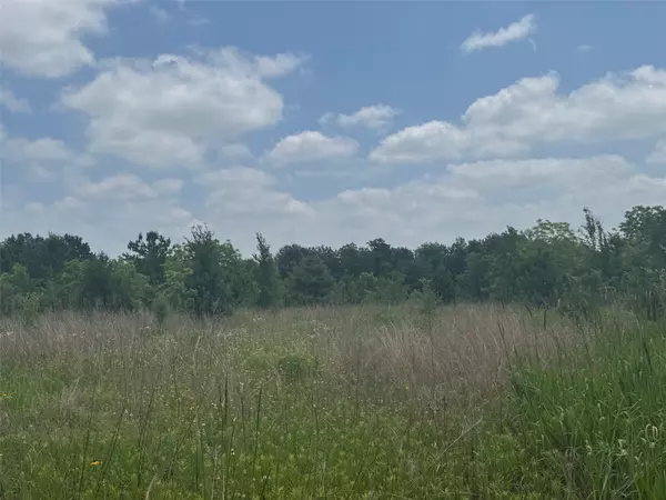 000 Buffalo Trl, Navasota, TX 77868