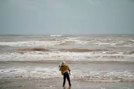 Sargent, TX 77414,00 Albatross