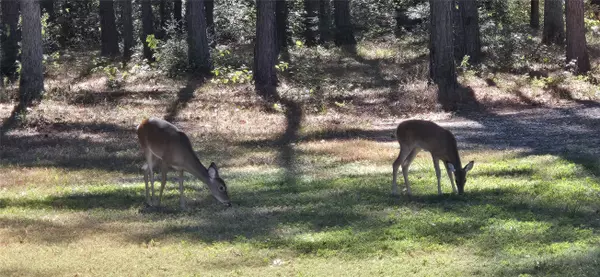 Cleveland, TX 77328,18611 Parker RD