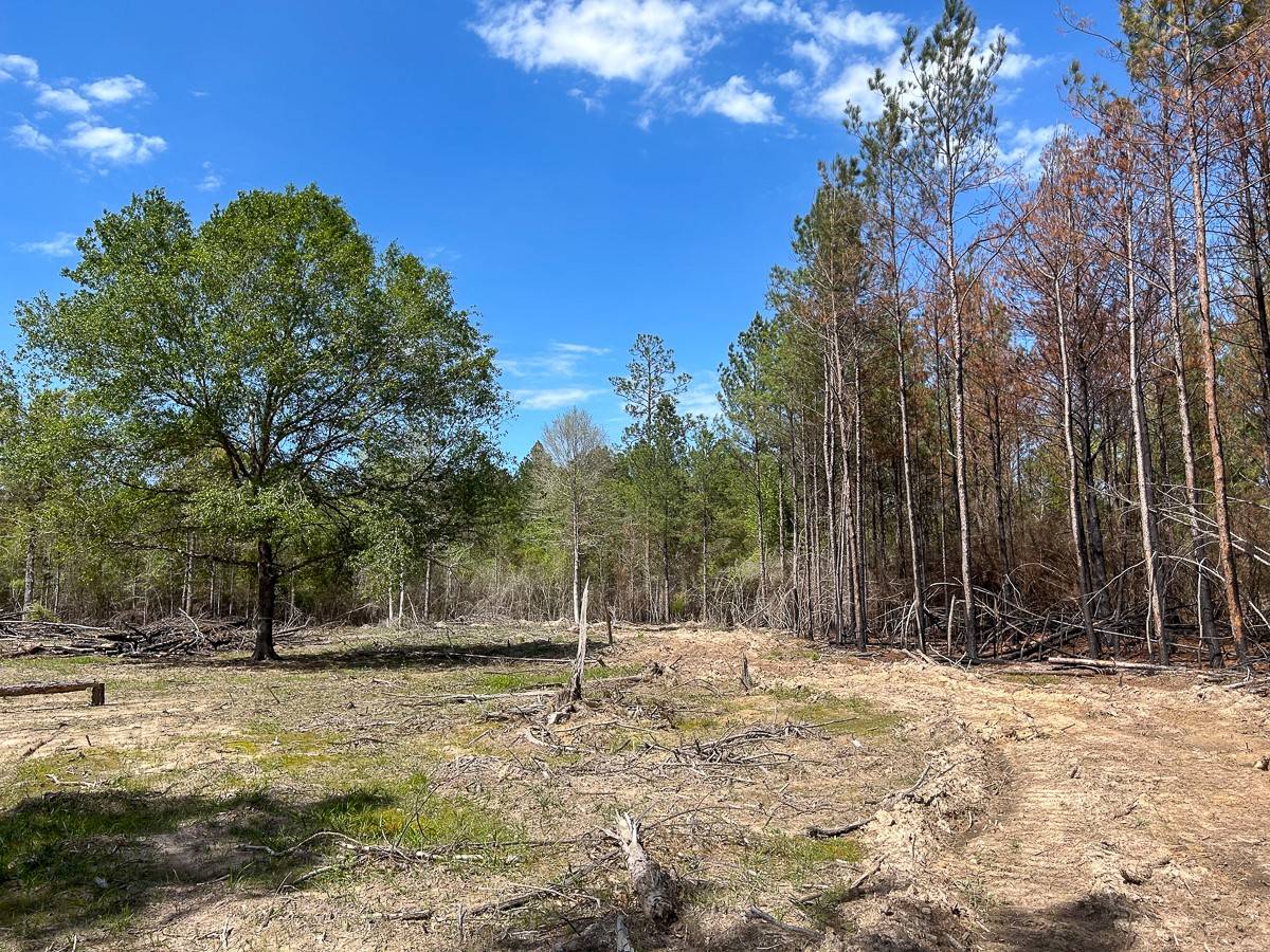 0 365 County Road 4520,  Warren,  TX 77664