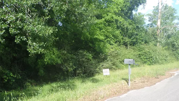 Alvin, TX 77511,630 Fm 2917 RD