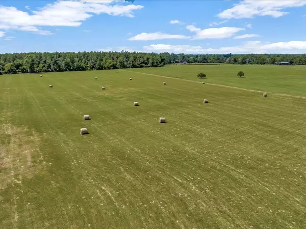 Kennard, TX 75847,NA Fm 233