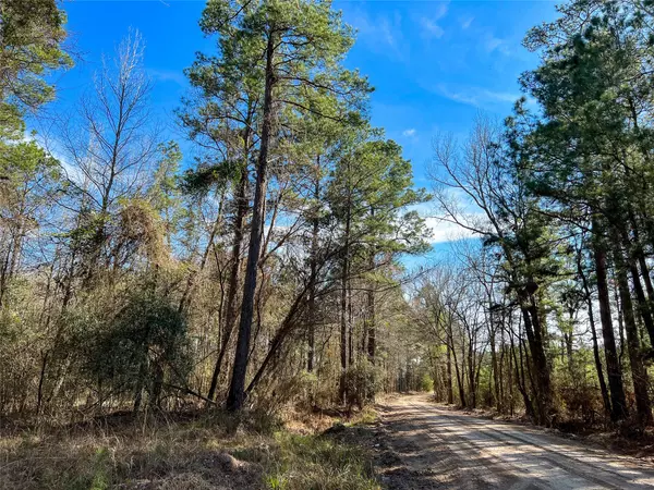 Corrigan, TX 75939,0 Carmona Road