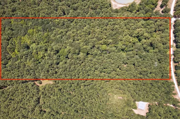 Navasota, TX 77868,4970 Deep Forest TRL