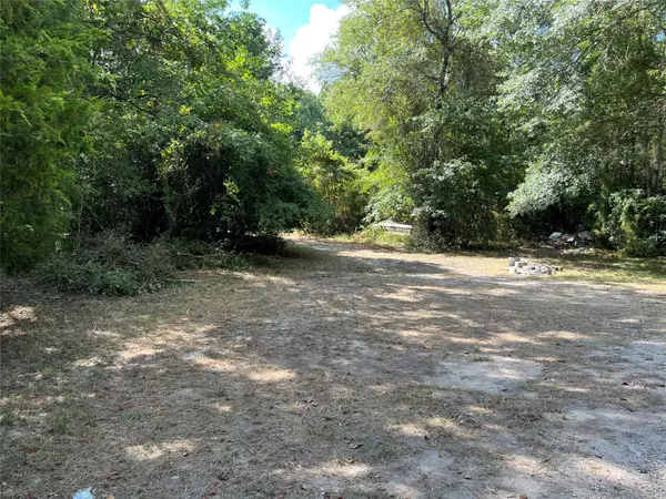 Willis, TX 77378,10250 Bilnoski RD