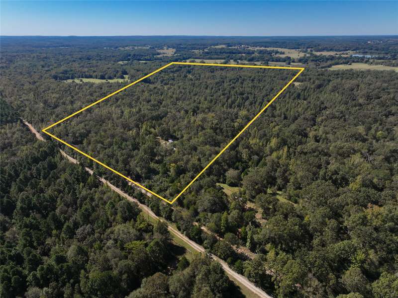 TBD a PR 2150, Oakwood, TX 75855