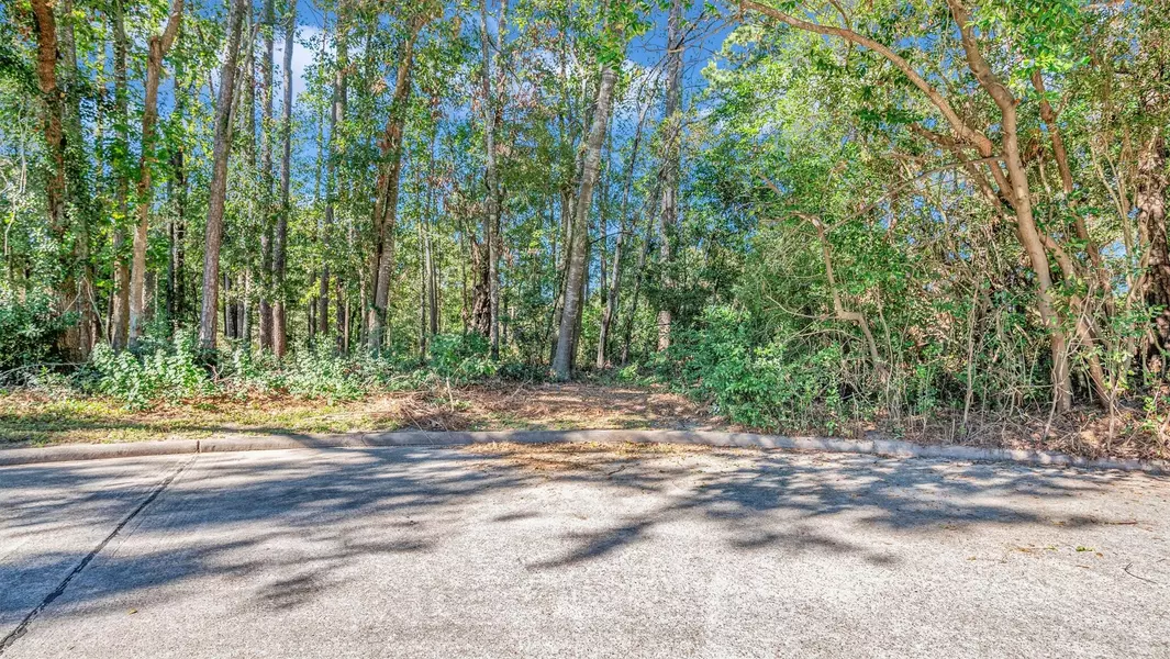 901 Longmire RD, Conroe, TX 77304
