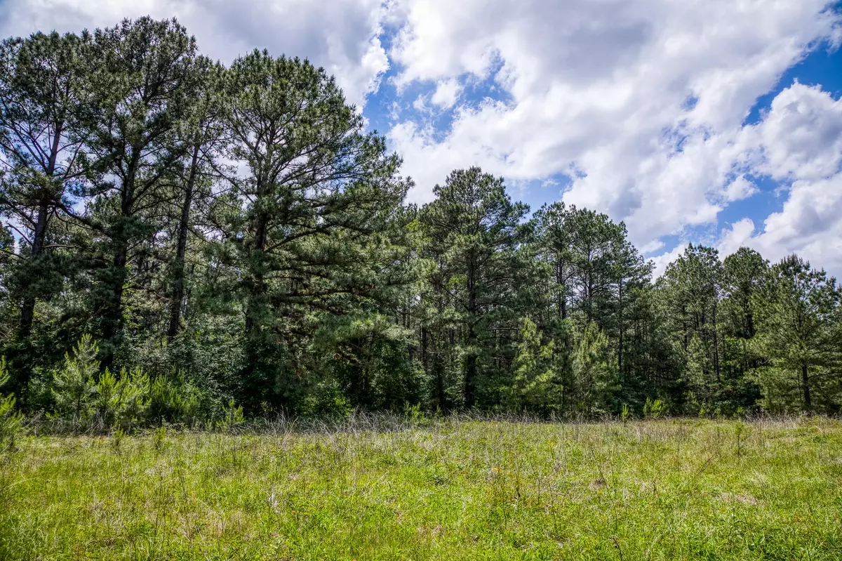 Richards, TX 77873,3 COUNTY ROAD 232A