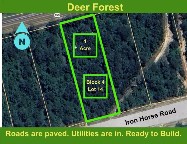 194 Iron Horse RD, New Waverly, TX 77358