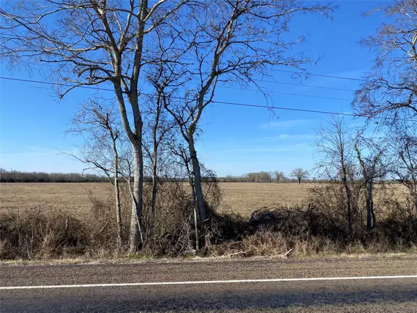 Bedias, TX 77831,Lot 14 State Highway 30