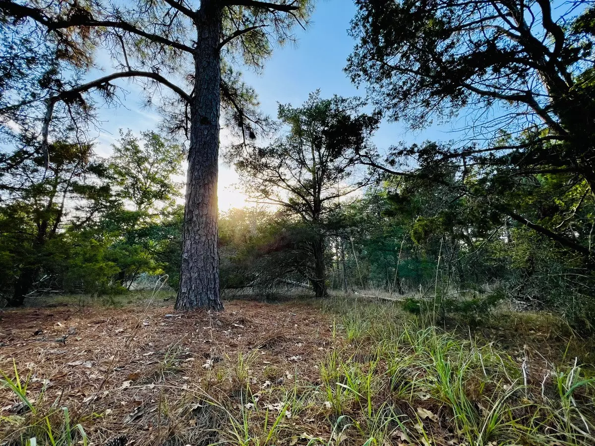 La Grange, TX 78945,TBD Stephen LN