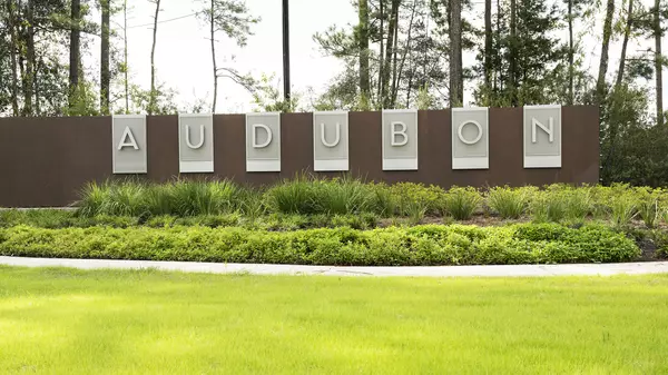 Magnolia, TX 77354,16551 Branchers DR