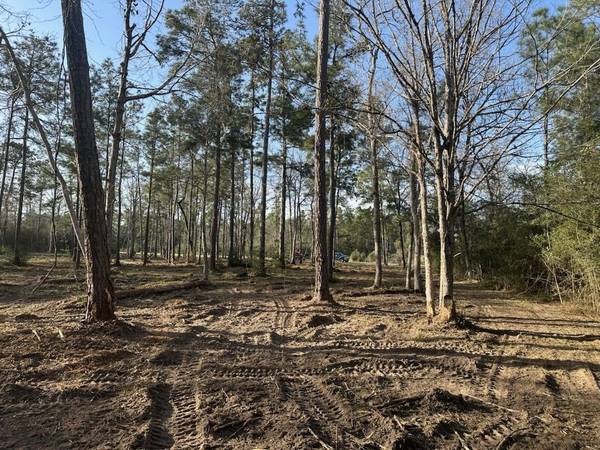 10698 Ruger RD, Willis, TX 77378