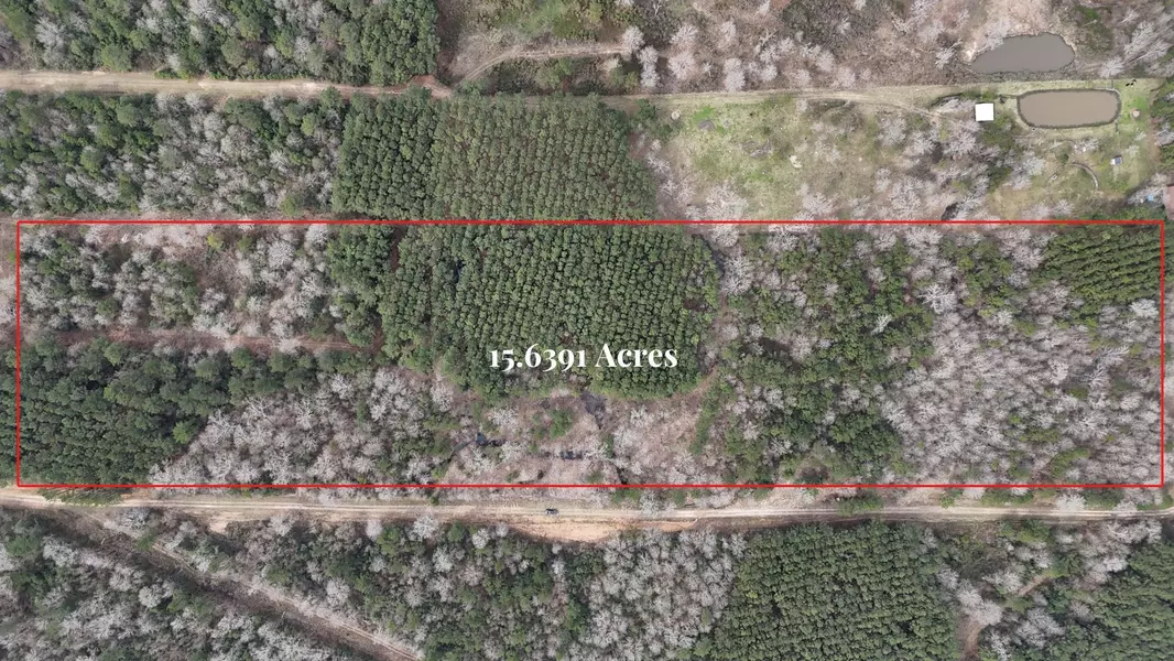 0 County Line RD, Shepherd, TX 77371