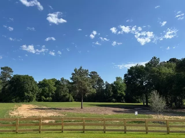 Hockley, TX 77447,201 Hidden Oak DR