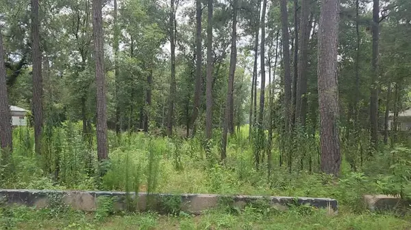 Plantersville, TX 77363,12562 Mossyknoll DR