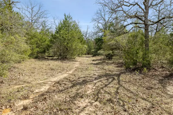 Normangee, TX 77871,TBD Farm to Market 3 S