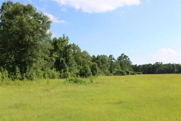 Bon Wier, TX 75928,TBD Fm 1416