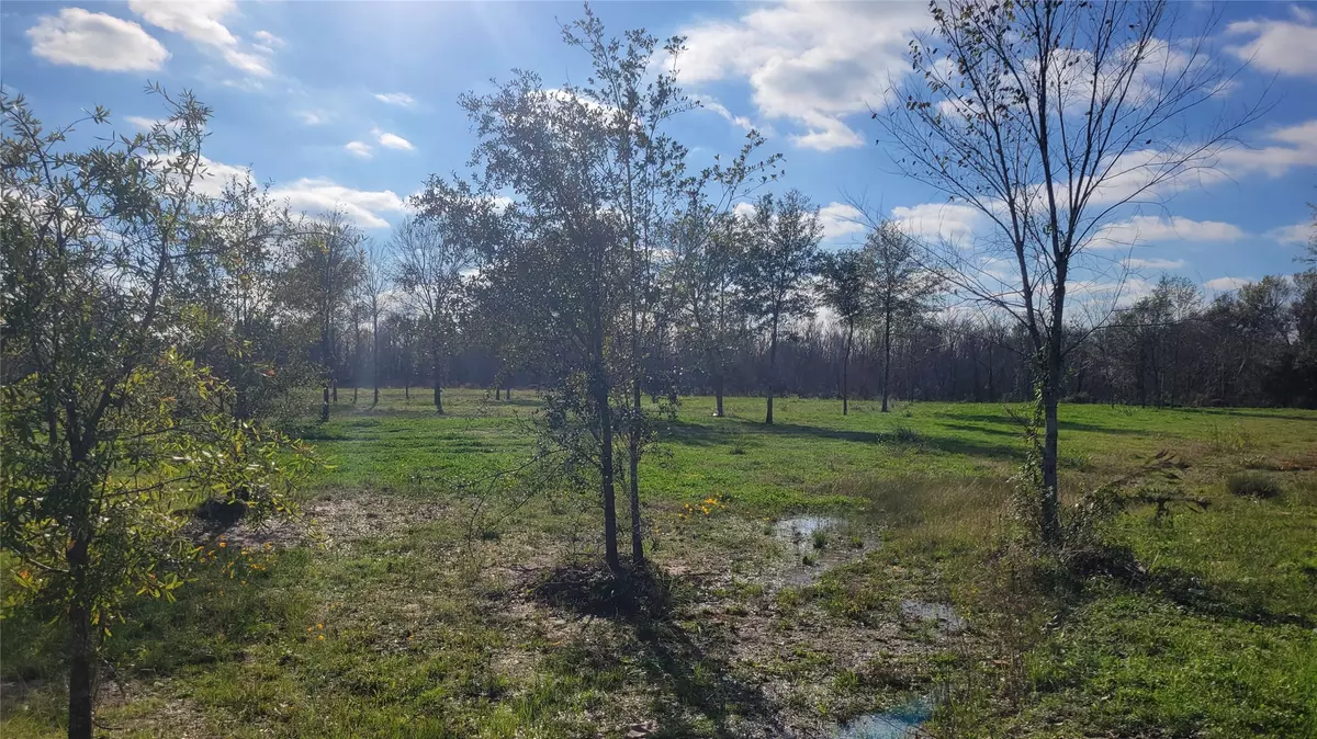 Fresno, TX 77545,1019 Evergreen ST