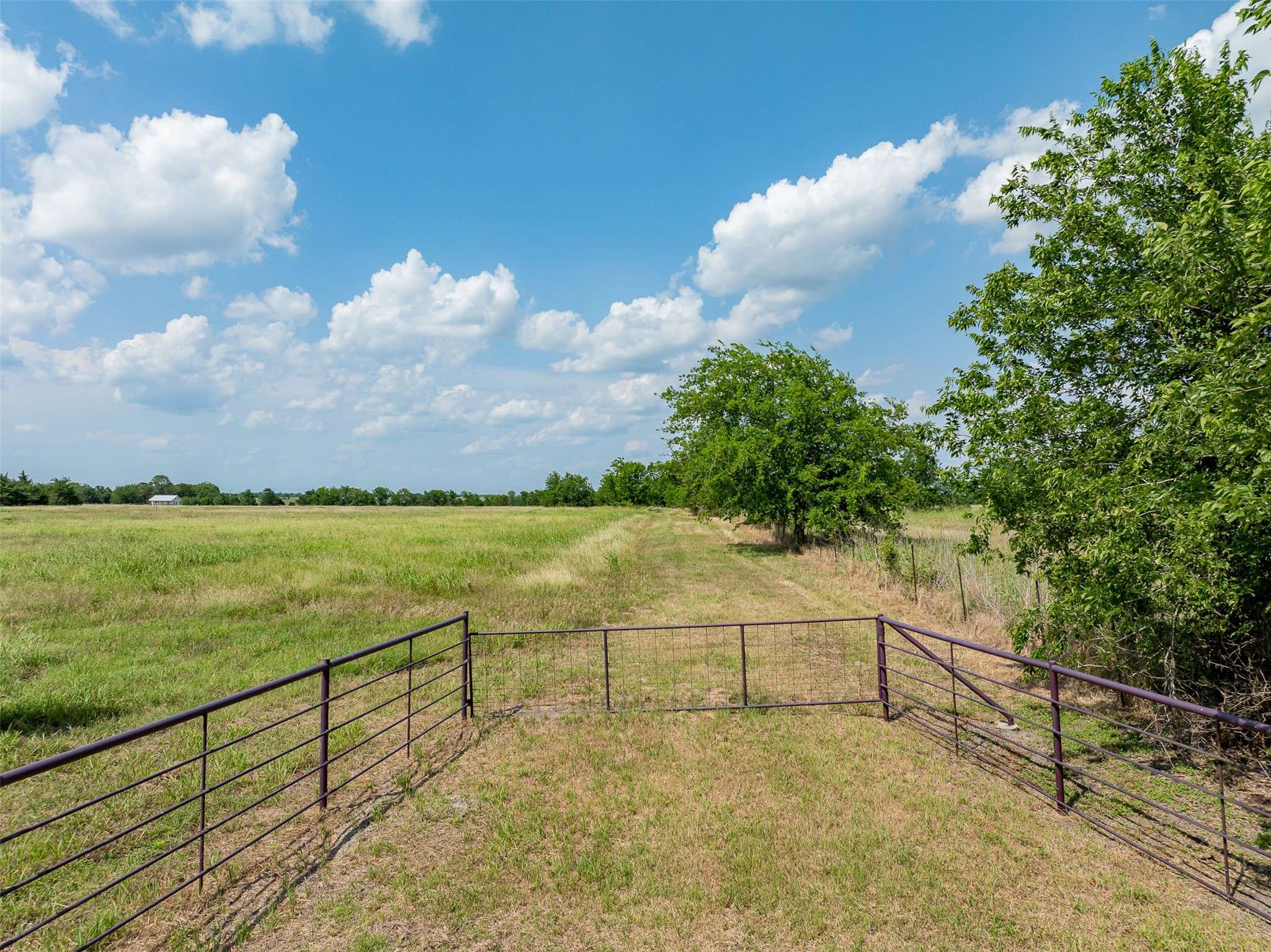 Burton, TX 77835,317 Memory Lane