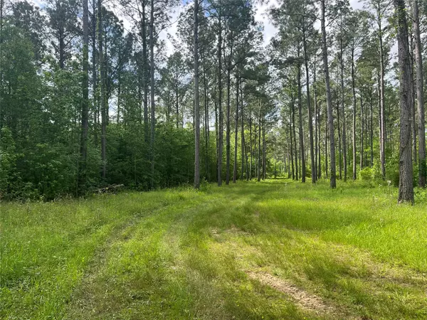 San Augustine, TX 75972,TBD ST Hwy 103E