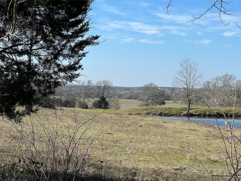 19285 Moriarty RD, Richards, TX 77873