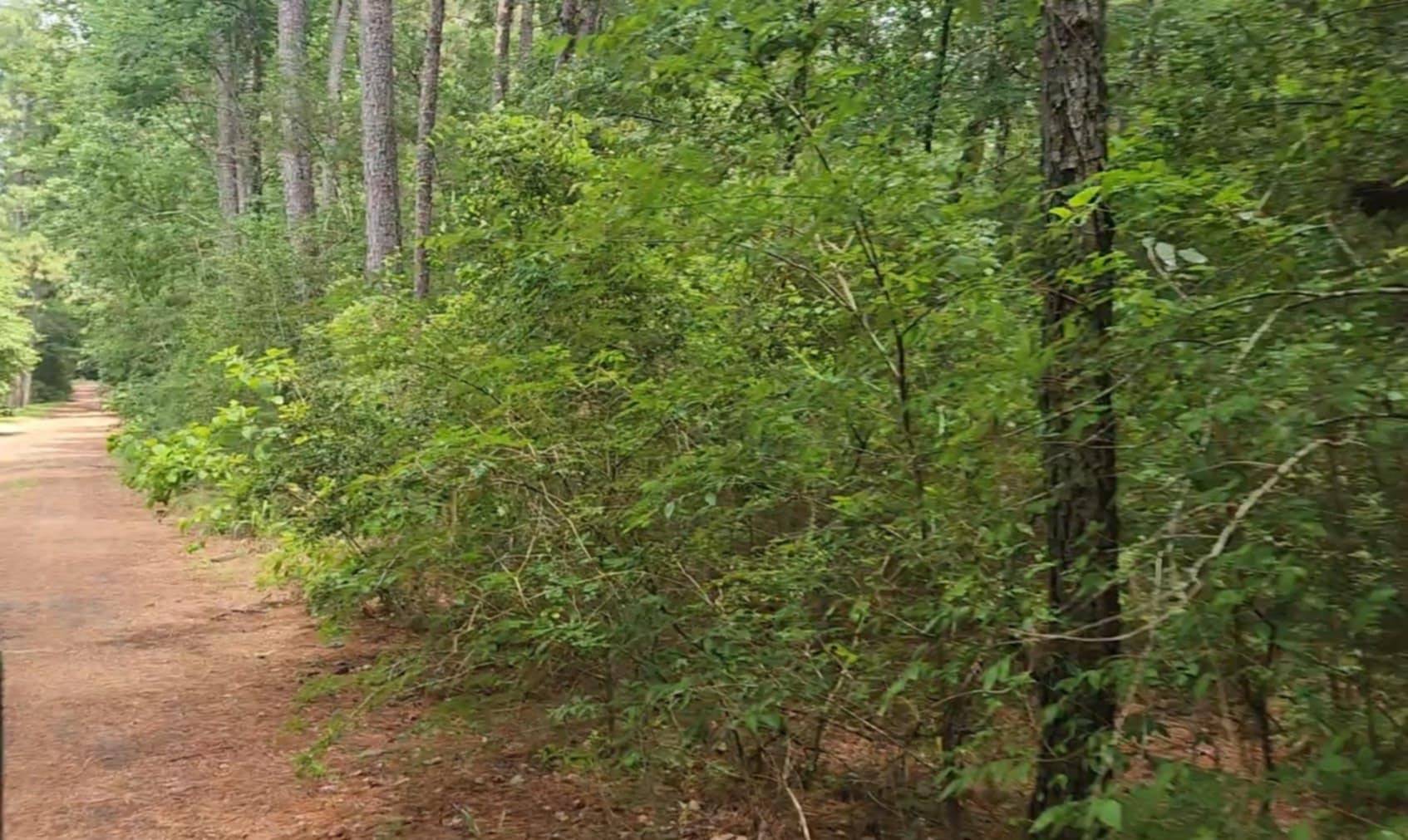 Plantersville, TX 77363,Lot 5 Cherry Tree LN
