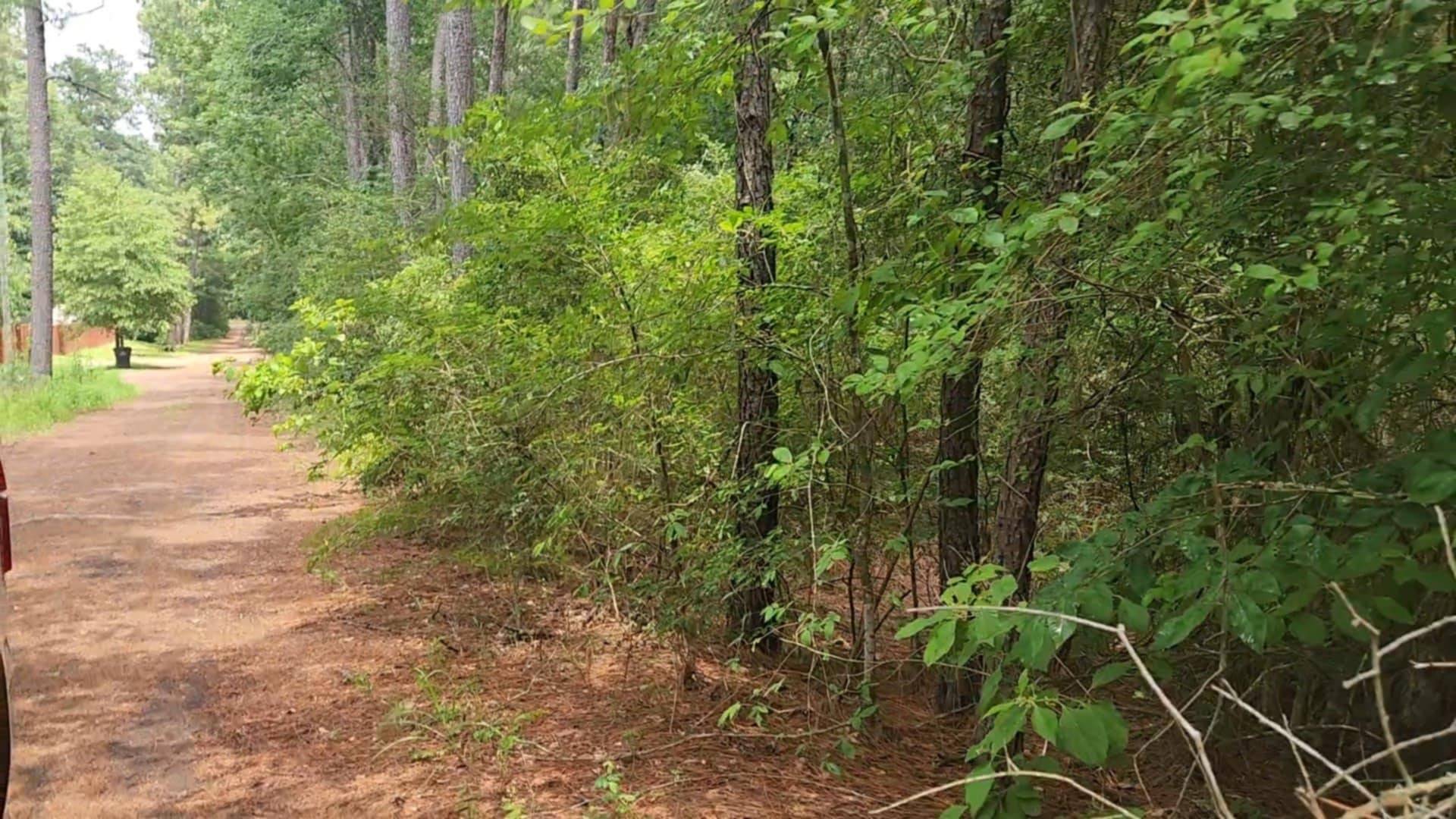 Plantersville, TX 77363,Lot 5 Cherry Tree LN