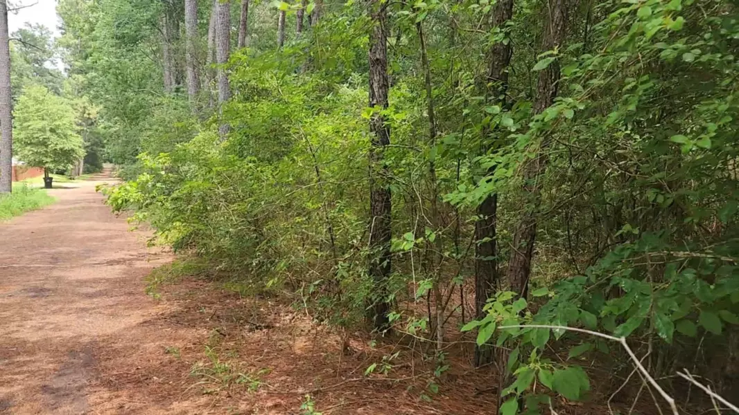 Lot 5 Cherry Tree LN, Plantersville, TX 77363