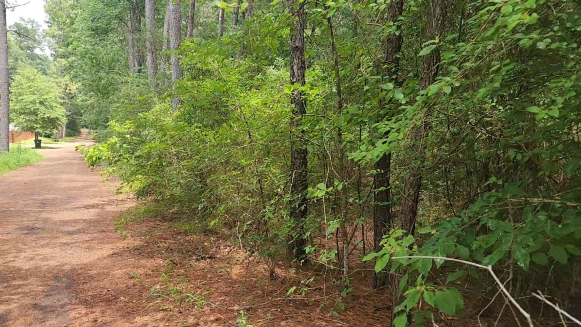 Plantersville, TX 77363,Lot 5 Cherry Tree LN