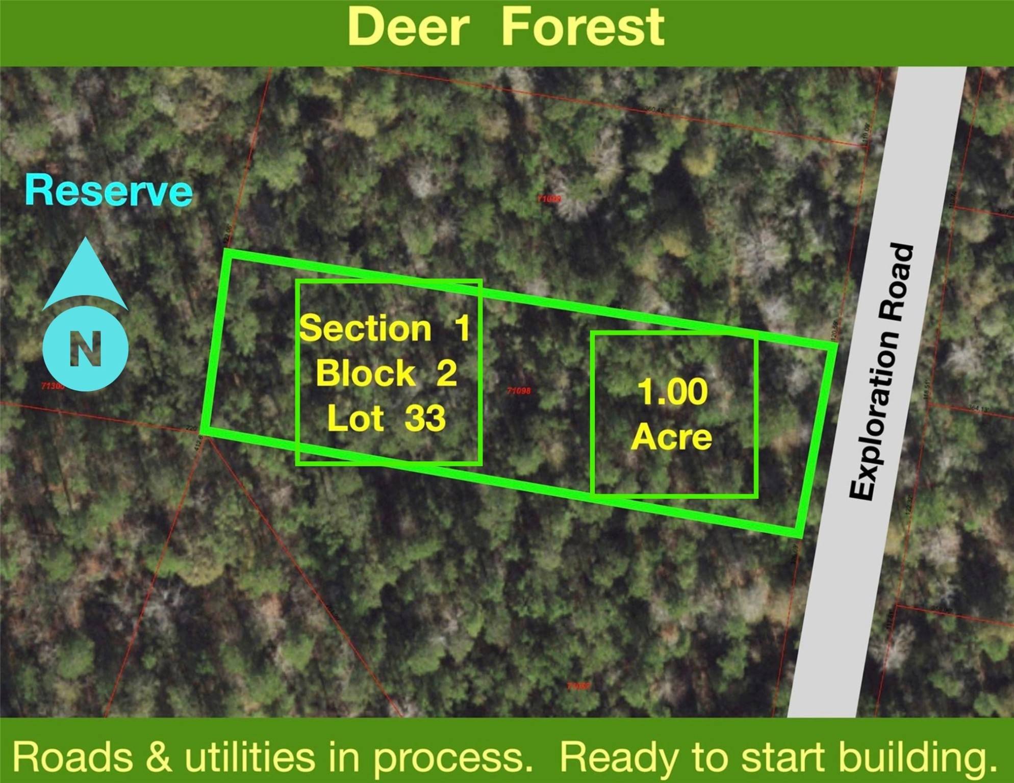 New Waverly, TX 77358,319 Exploration RD