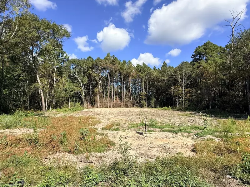 11249 Wildwood LN, Plantersville, TX 77363