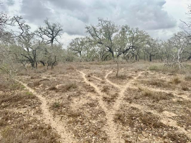2585 Old Devine Rd,  Poteet,  TX 78005