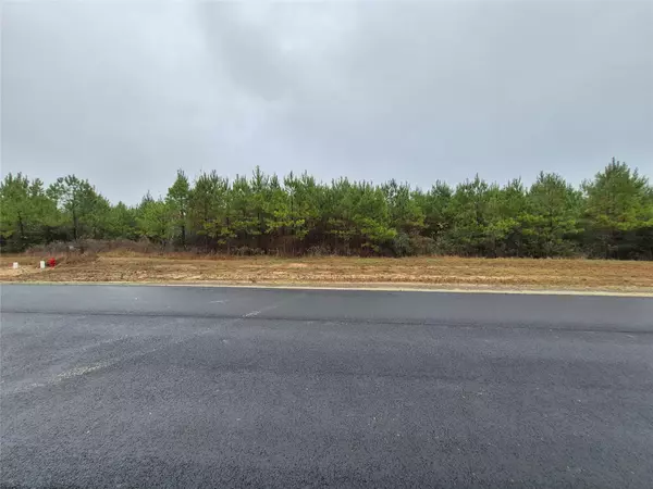 11514 INSPIRATION DR, Willis, TX 77378