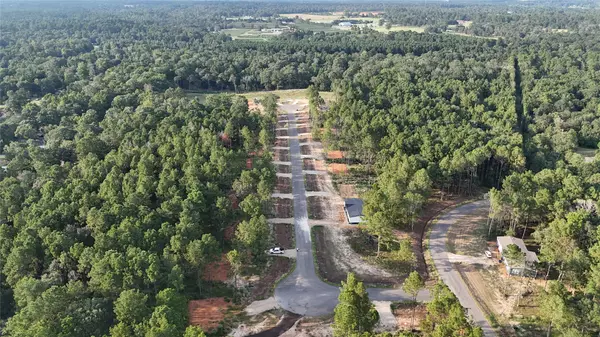 Willis, TX 77378,11363 Annie Creek DR