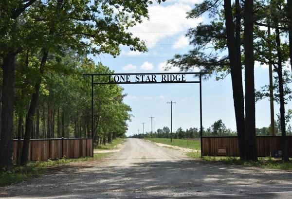 Tract 82 Collin st, Lovelady, TX 75851